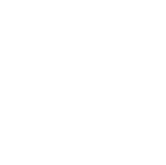 Mcsm